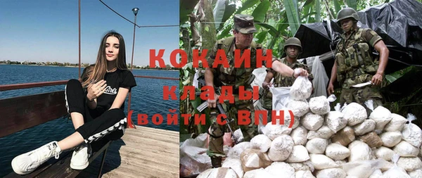 бошки Алзамай