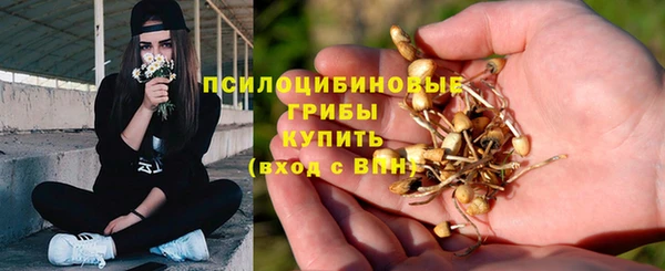 прущая мука Алексеевка
